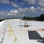 TPO Singleply Installation